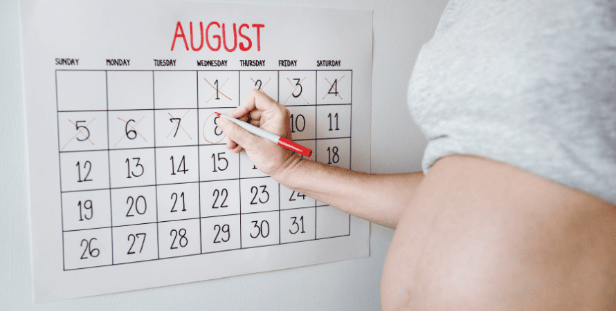Pregnancy Calendar